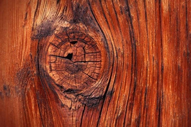 Wood Node Texture My Morning Hd Wallpapers   (