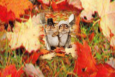 Cooking Master Rats >> HD Wallpaper, Get It Now!