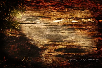 Rough Wood Texture Wallpapers   182609