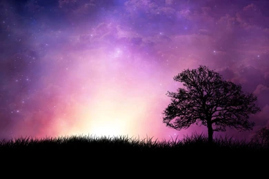 Violet Sunset Wallpapers