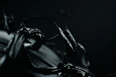 10 The Girl With The Dragon Tattoo HD Wallpapers