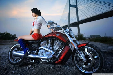 Harley Davidson Bike Wallpapers On PC Desktop