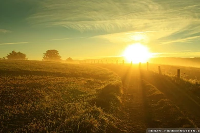 Summer Sun Wallpapers   Crazy Frankenstein