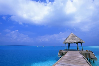 Blue Sky Beach Wallpapers