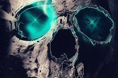 Top Skull Iphone 5c Wallpaper Images For Pinterest