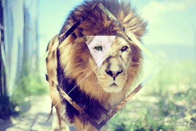 Hipster Wallpapers Concept Lion By Centoste On DeviantArt