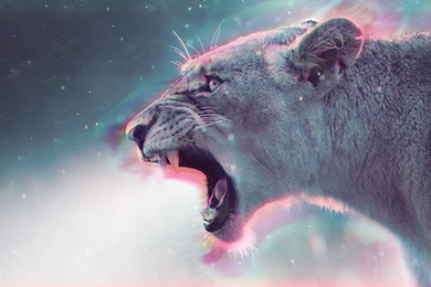 Download Hipster Wallpapers Db6