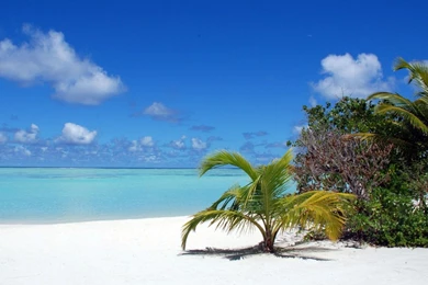 Beach Desktop Wallpapers