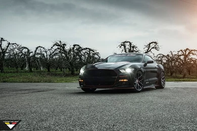 Ford Car Wallpapers,Pictures