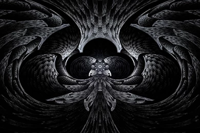 102 Black HD Wallpapers