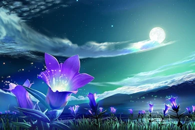 Pretty Flower Wallpapers   Random Photo (36251370)   Fanpop