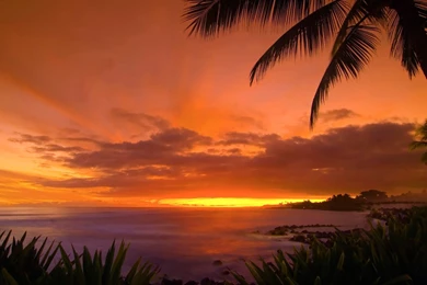 Hawaii Sunset Wallpapers   Beach Wallpapers