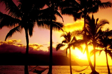 Paradise Kauai Hawaii