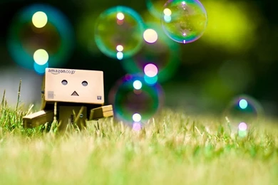 Danbo And Bubble HD Wallpapers
