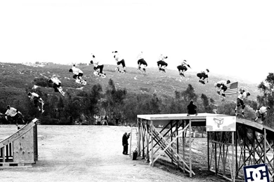 Top Skateboarding Wallpapers And Images Images For Pinterest