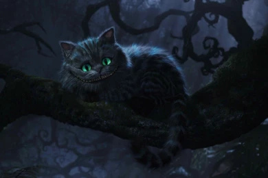 Cheshire Cat HD Wallpapers   HD Wallpaper Backgrounds Of Your Choice