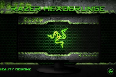 Razer Computer Logo