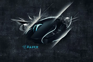 Razer Wallpapers   Computer Wallpapers