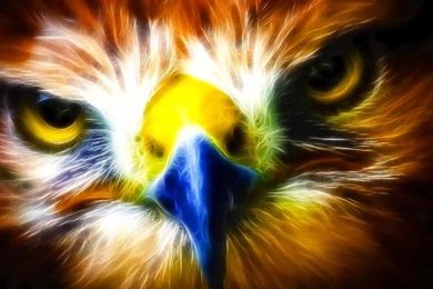 Abstract Eagle Wallpaper HD.jpg
