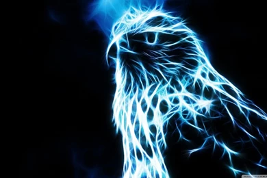 High Definition Eagle Wallpapers For Free Download