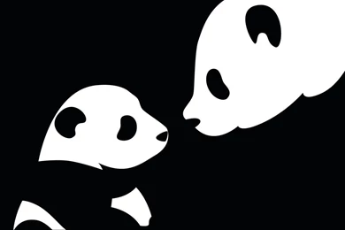 Panda HD Wallpapers