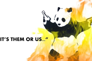 Crazy Panda Wallpapers 1200x800 (
