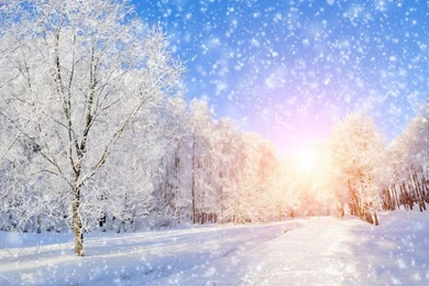 Winter Computer Backgrounds Reviews   Online Shopping Winter ...