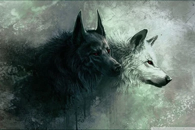 Wolf HD Desktop Wallpapers : High Definition : Fullscreen : Mobile