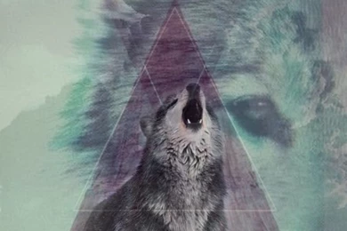 Made A Wolf Wallpapers For My iPhone 6