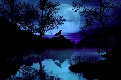 3D Wolf Wallpapers   Android Apps And Tests   AndroidPIT