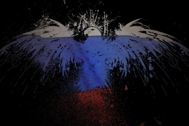 Eagle Flag Wallpapers 1920x1200