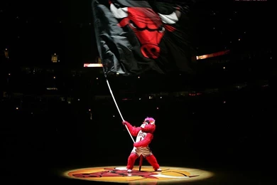 Top Nba Chicago Bulls Team Images For Pinterest