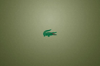 Lacoste HD Wallpapers