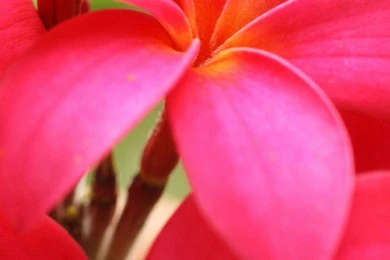 HD iPhone 6 Wallpapers HD And iPhone 6 Plus Wallpapers Page 22