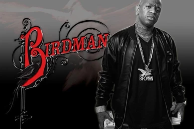 Birdman Wallpapers