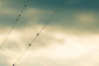 Music iPhone Wallpapers