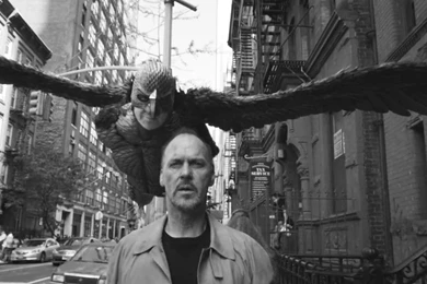 Birdman And The Question Of Existence.