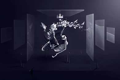 Top Skeleton X Ray Wallpapers Hd 1080 Images For Pinterest