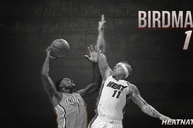 Chris "Birdman" Andersen Wallpapers   Heat Nation
