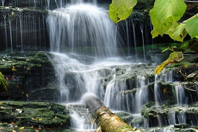 Lake Nature Park iPhone 6 Wallpapers HD And 1080P 6 Plus Wallpapers