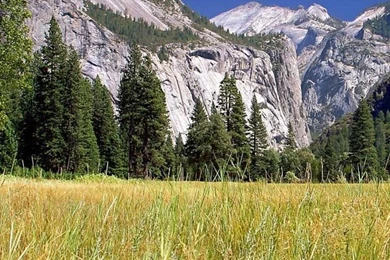 iPhone 4 Nature Wallpapers Set 2 11