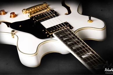 Washburn Guitars   Wallpapers