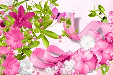 Pink Flower Desktop Wallpaper, Pink Flower Backgrounds, New Wallpapers