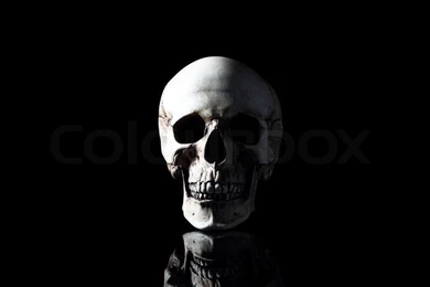 Skull Of The Person Close up On A Black Background.
