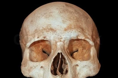 A Human Skull On A Black Backgrounds