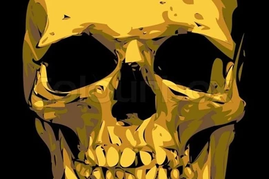 Bones And Skull Of The Person On Black Backgrounds