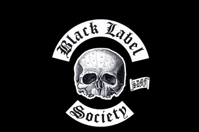 White Skull Black Backgrounds Logo