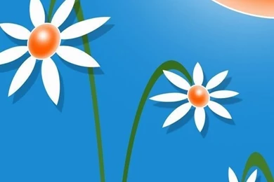 Flower Mobile Phone Wallpapers HD Phone Wallpapers