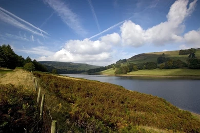 Free Screensavers And Wallpapers   7Screensavers.com