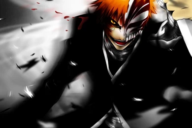 Bleach 10.jpg